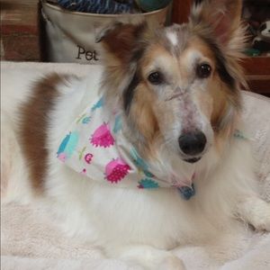 Meet your Posher, Bethany